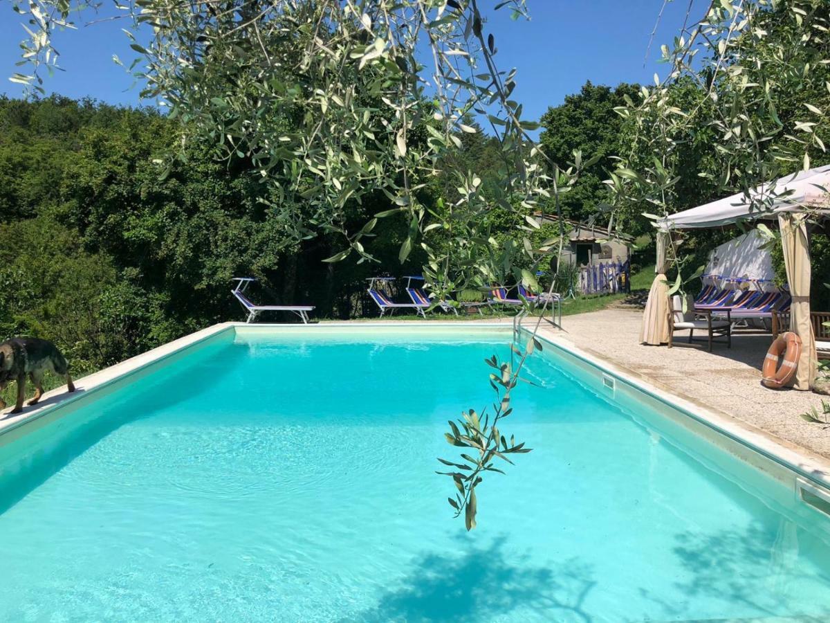 Ala Di Maniero In Agriturismo Valdrago In Toscana, Nel Verde Mugello Sulle Colline Di Firenze Borgo San Lorenzo Exterior foto